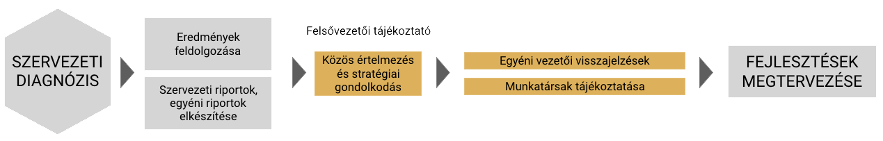 Visszajelzési folyamat