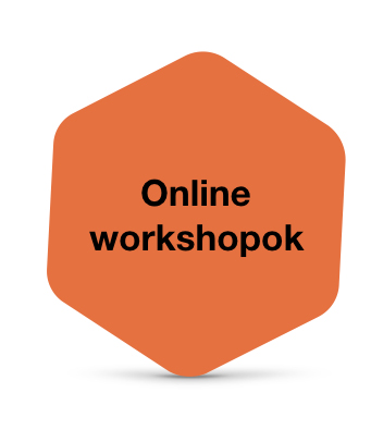 03 online workshop
